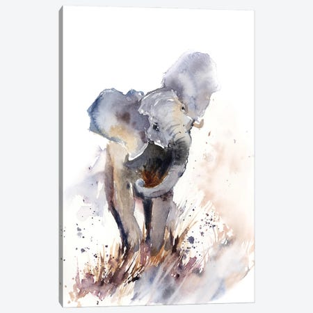 Elephant Canvas Print #SRV39} by Sophie Rodionov Canvas Art
