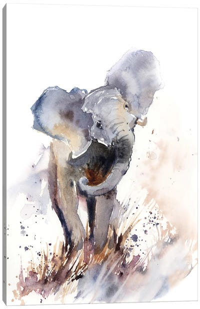 Elephant Canvas Art Print - Sophie Rodionov