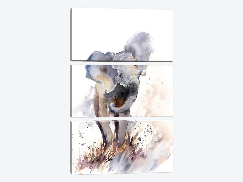 Elephant by Sophie Rodionov 3-piece Canvas Art Print