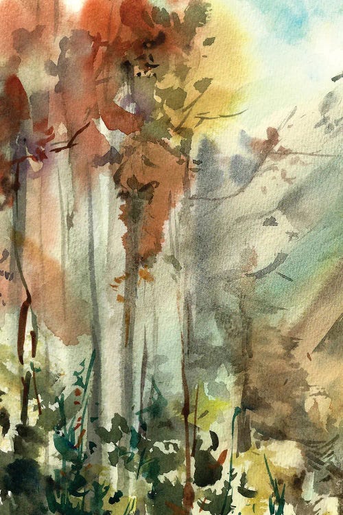 Autumnal Forest by Sophie Rodionov canvas print