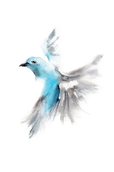Sky Blue Flying Bird by Sophie Rodionov framed canvas print