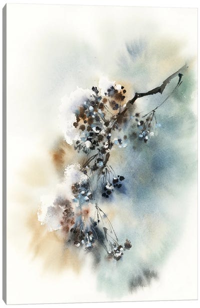 Winter Branch Canvas Art Print - Serene Watercolors