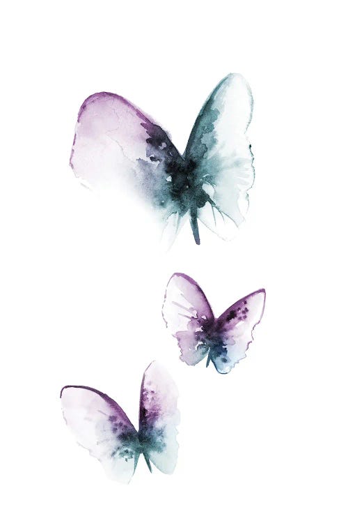 Butterflies