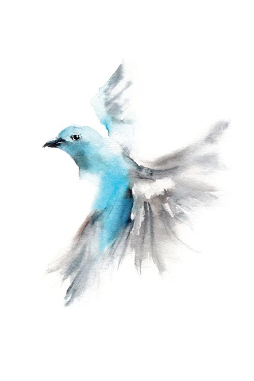 Sky Blue Flying Bird