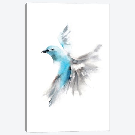 Sky Blue Flying Bird Canvas Print #SRV4} by Sophie Rodionov Canvas Artwork