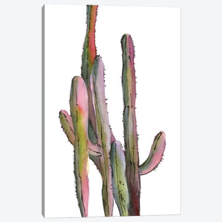 Cactuses In Green And Pink I Canvas Print #SRV50} by Sophie Rodionov Canvas Artwork