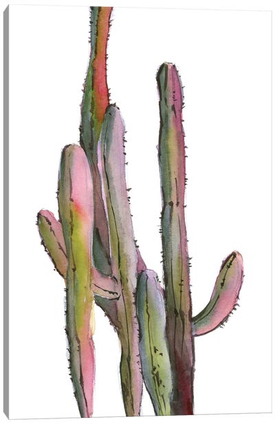 Cactuses In Green And Pink I Canvas Art Print - Serene Watercolors