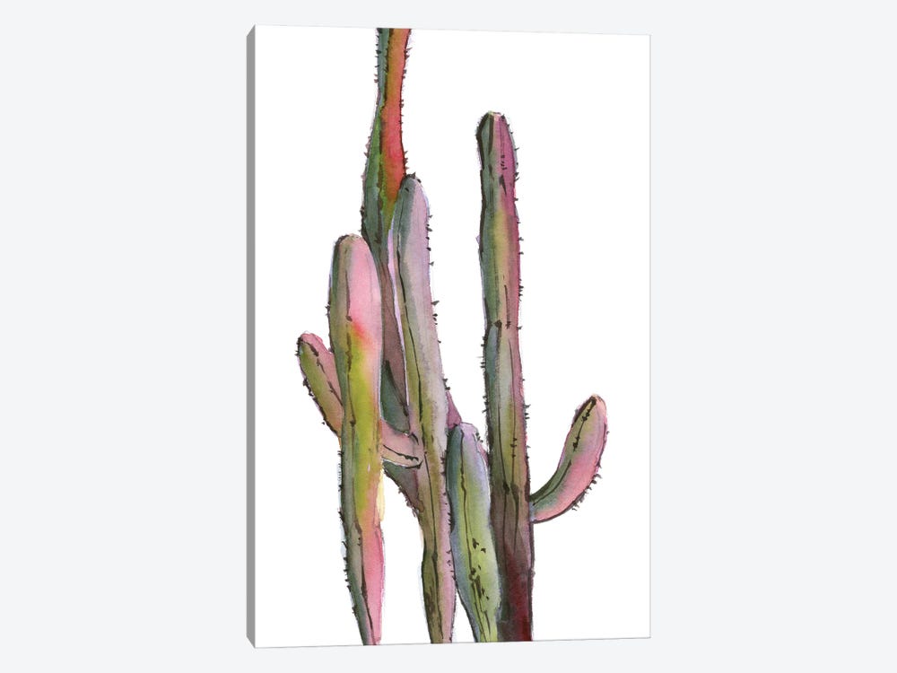 Cactuses In Green And Pink I by Sophie Rodionov 1-piece Canvas Artwork