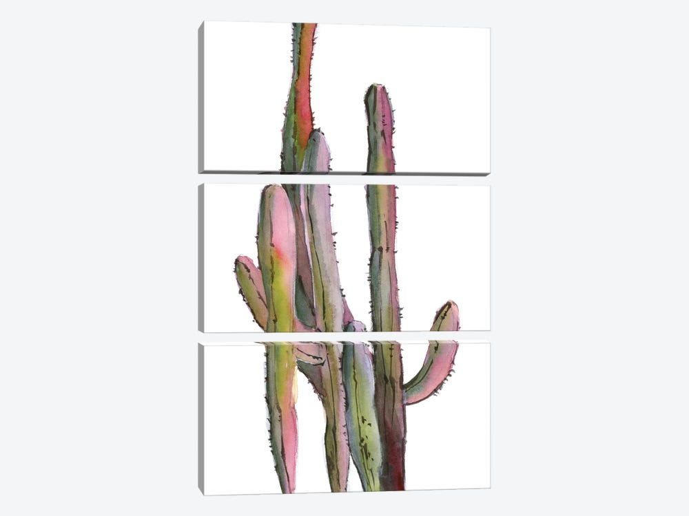 Cactuses In Green And Pink I by Sophie Rodionov 3-piece Canvas Art