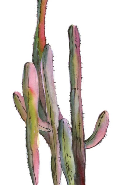 Serene Watercolors: Cactuses In Green And Pink I by Sophie Rodionov