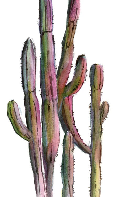 Cactuses In Green And Pink II