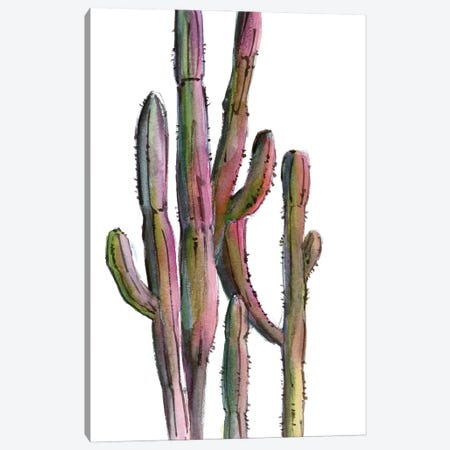 Cactuses In Green And Pink II Canvas Print #SRV51} by Sophie Rodionov Canvas Wall Art