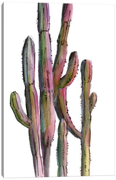 Cactuses In Green And Pink II Canvas Art Print - Sophie Rodionov