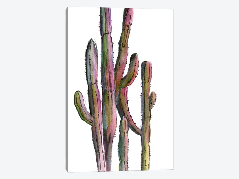 Cactuses In Green And Pink II by Sophie Rodionov 1-piece Canvas Print