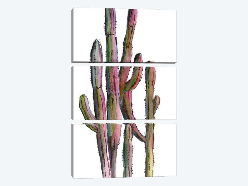Cactuses In Green And Pink II by Sophie Rodionov 3-piece Canvas Print