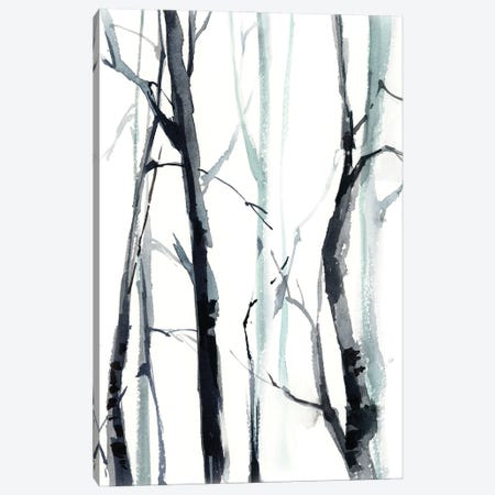Forest I Canvas Print #SRV56} by Sophie Rodionov Canvas Art Print