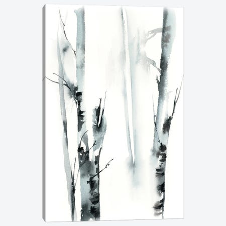 Forest II Canvas Print #SRV57} by Sophie Rodionov Canvas Print