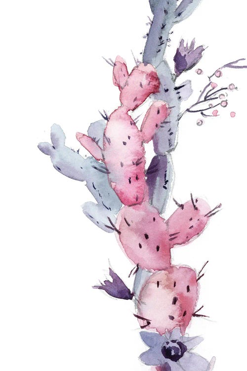 Pink Cactus I