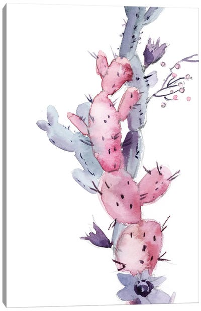 Pink Cactus I Canvas Art Print - Sophie Rodionov