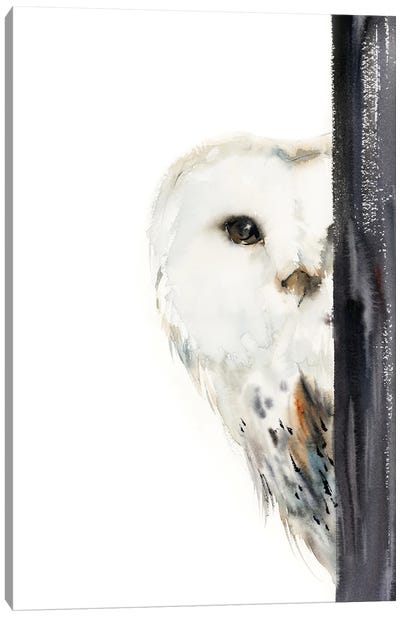 The Look Canvas Art Print - Owl Art