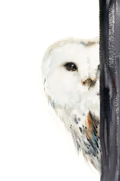 Office: The Look by Sophie Rodionov