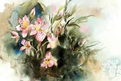 Alstroemeria by Sophie Rodionov canvas print