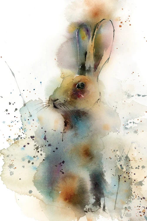 Rabbit