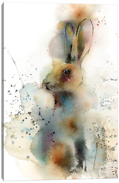 Rabbit Canvas Art Print - Sophie Rodionov