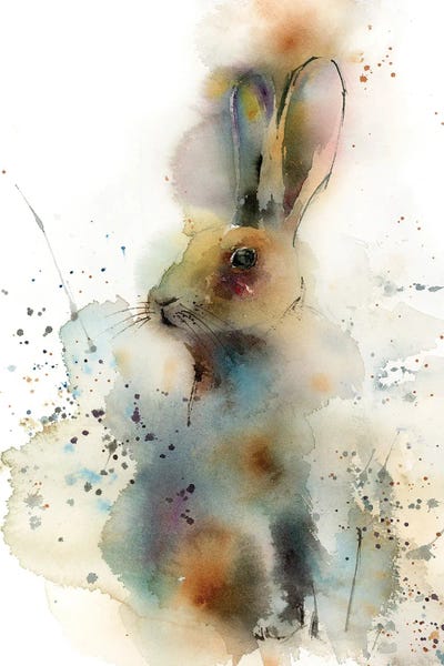 Rabbits: Rabbit by Sophie Rodionov