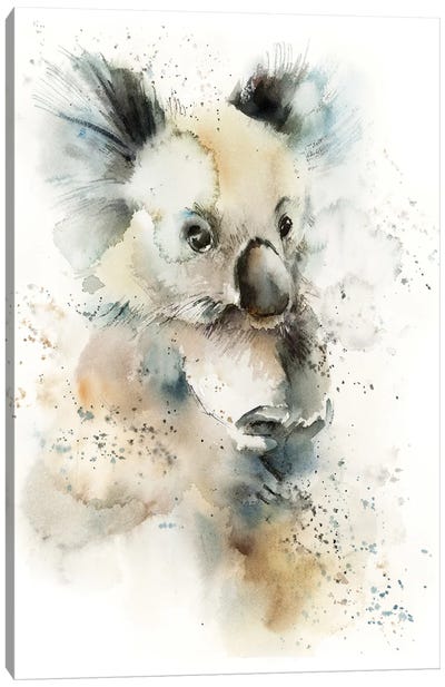 Koala Canvas Art Print - Sophie Rodionov