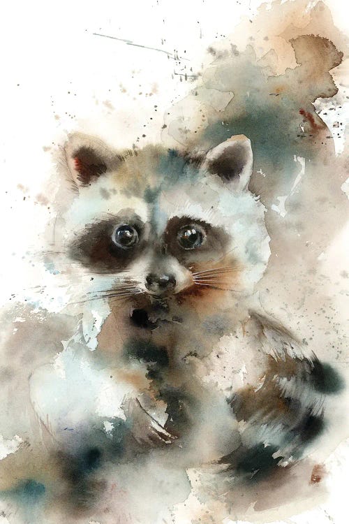 Raccoon