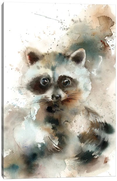 Raccoon Canvas Art Print - Sophie Rodionov