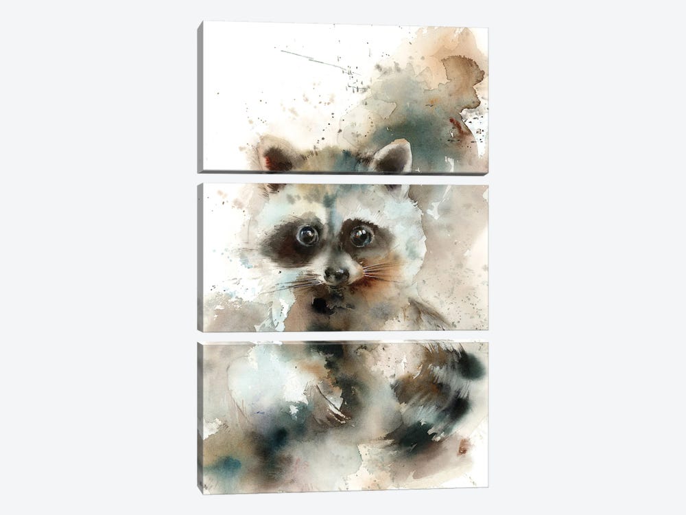 Raccoon by Sophie Rodionov 3-piece Canvas Art Print