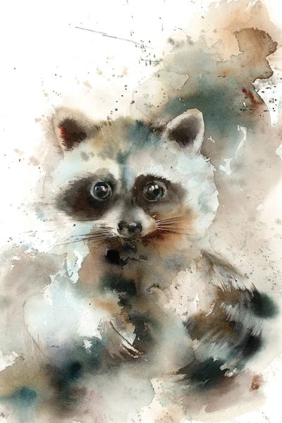 Raccoons: Raccoon by Sophie Rodionov