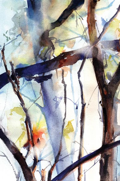 Sun In A Forest by Sophie Rodionov art print