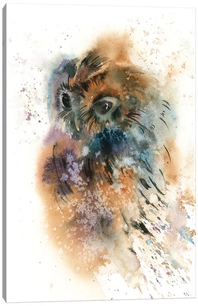 Colorful Owl Canvas Art Print - Rustic Winter