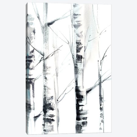 Birch Trees I Canvas Print #SRV82} by Sophie Rodionov Canvas Art Print