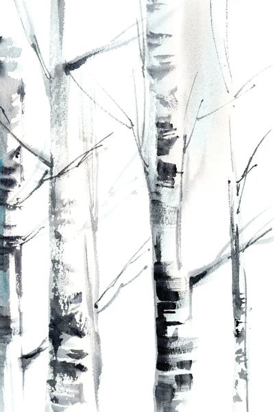 Birch Trees: Birch Trees I by Sophie Rodionov