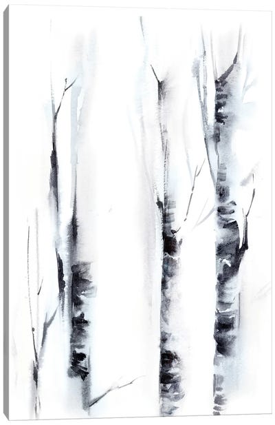 Birch Trees II Canvas Art Print - Black & White Scenic