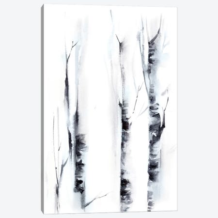 Birch Trees II Canvas Print #SRV83} by Sophie Rodionov Canvas Art Print
