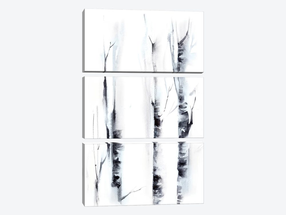 Birch Trees II by Sophie Rodionov 3-piece Canvas Art