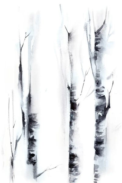 Black & White Florals: Birch Trees II by Sophie Rodionov