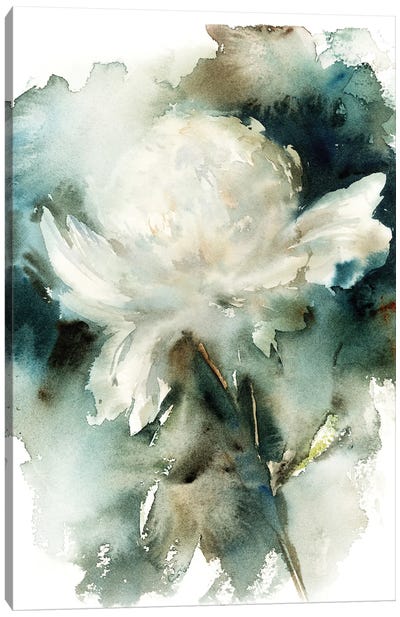 White Peony Canvas Art Print - Teal Abstract Art