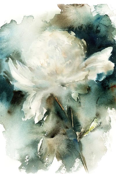 Peonies: White Peony by Sophie Rodionov