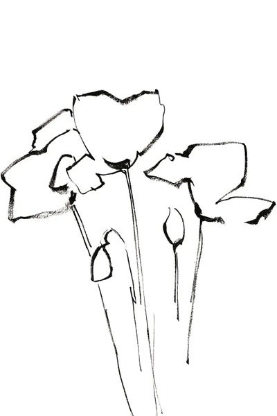 Scandinavian Office: Poppy Flowers by Sophie Rodionov