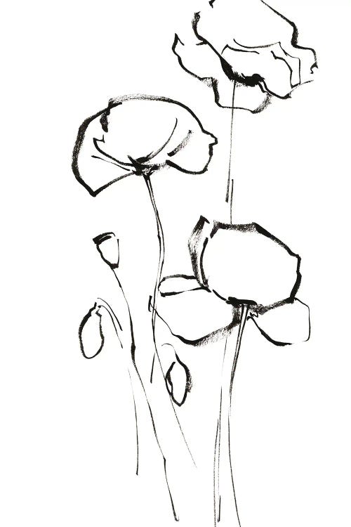 Poppy Flowers II