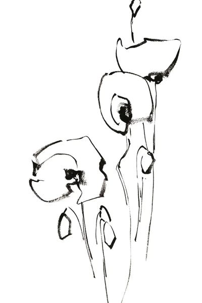 Black & White Florals: Poppy Flowers III by Sophie Rodionov