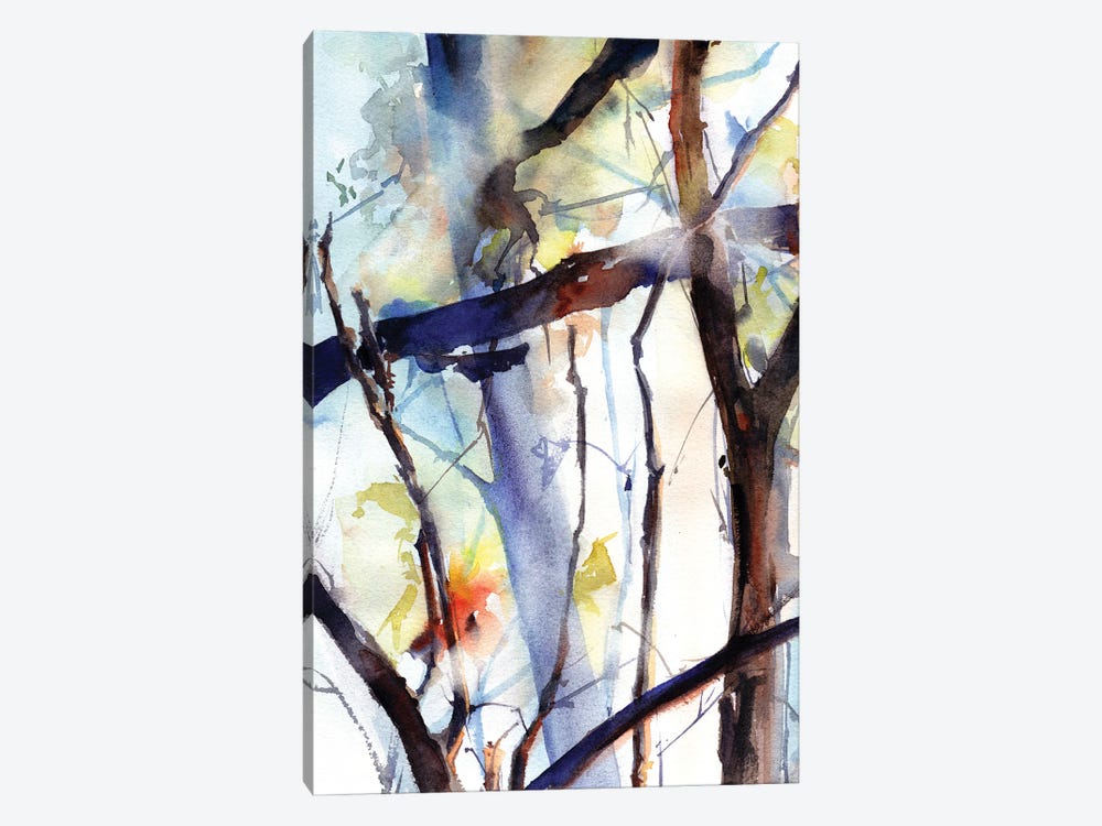 Sun In A Forest by Sophie Rodionov 1-piece Canvas Art Print