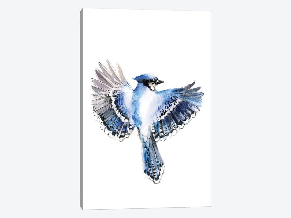Flying Blue Jay 1-piece Canvas Print