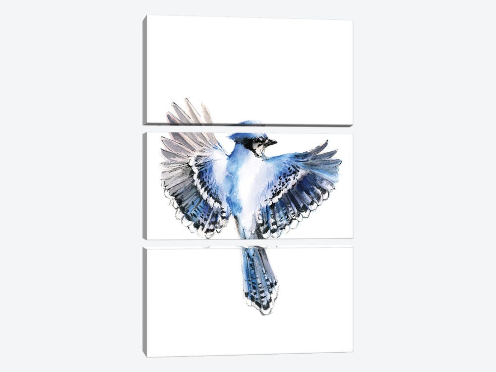 Flying Blue Jay by Sophie Rodionov 3-piece Art Print